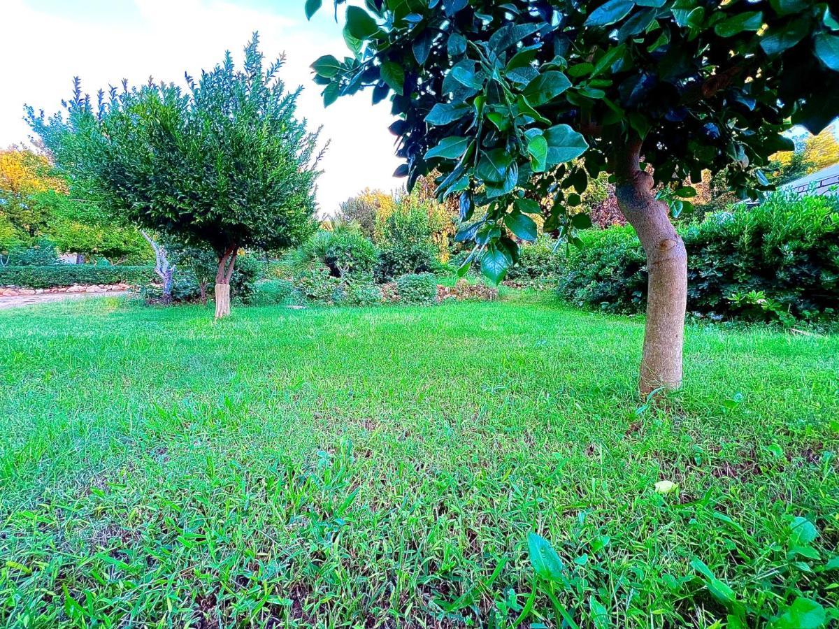Villa Rosemary Marsala Exterior foto